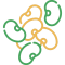 legumes (1) legumes (1)