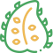 soursop (1) soursop (1)